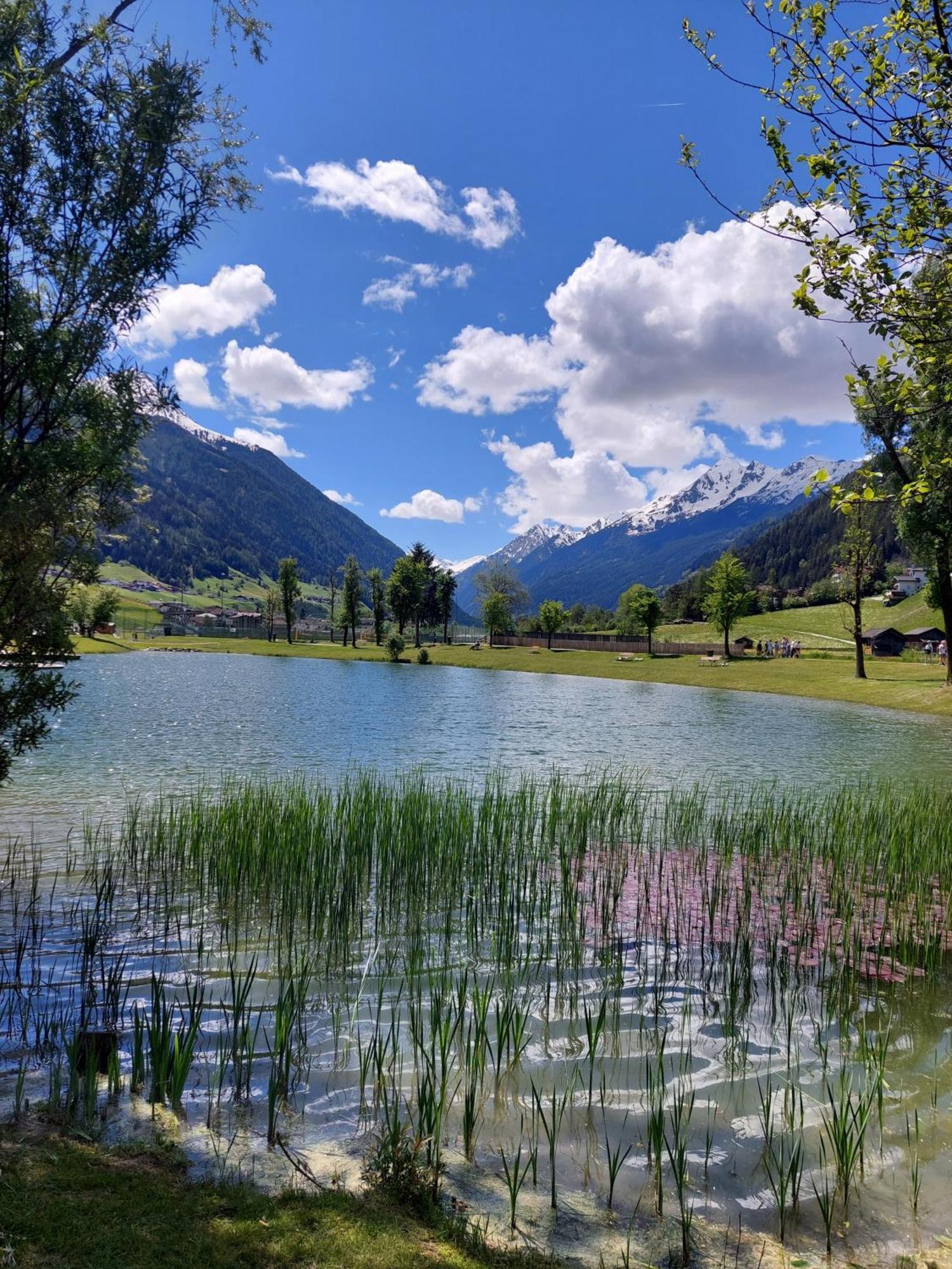 Pension Riese Neustift im Stubaital Exterior photo