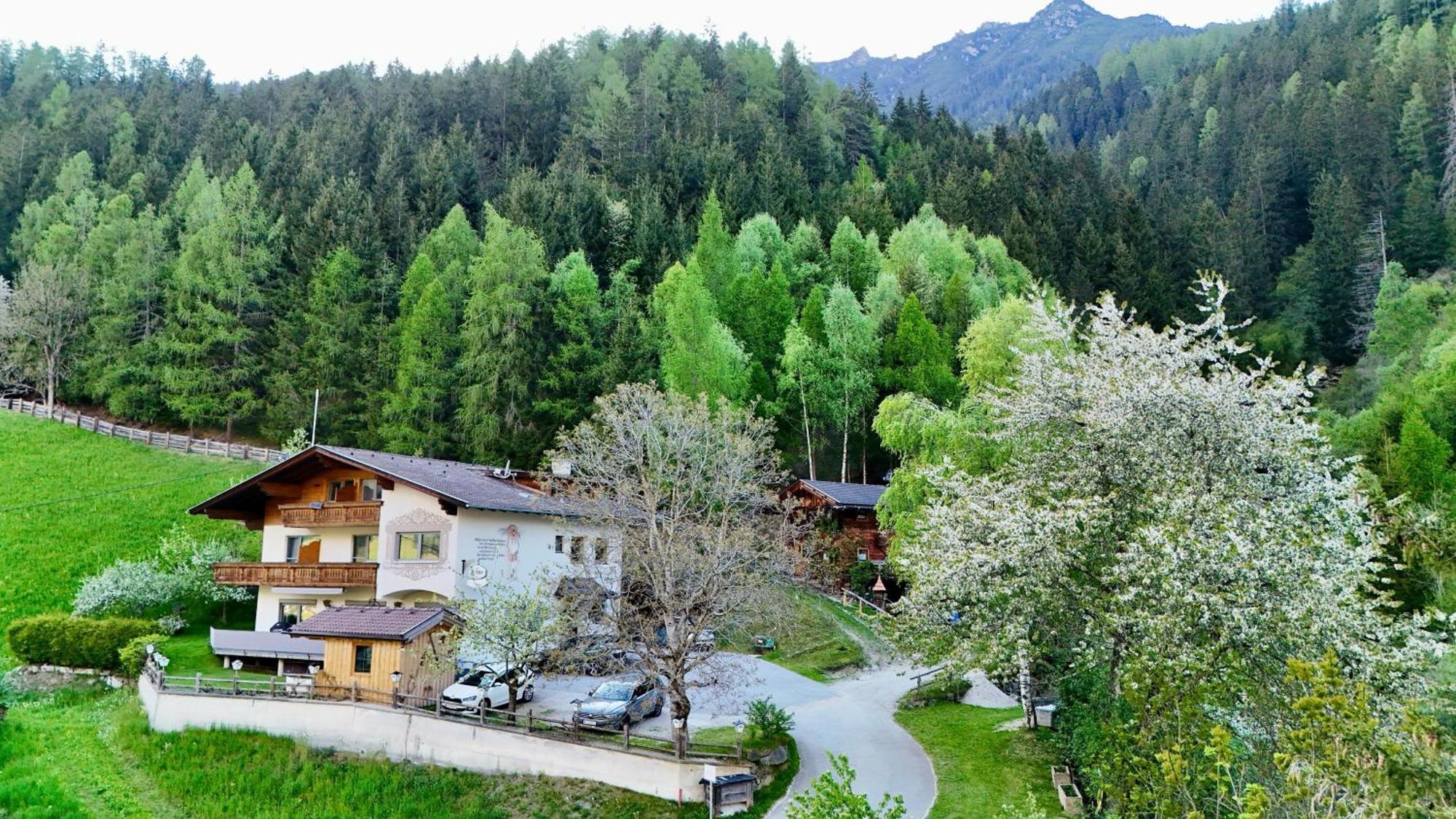 Pension Riese Neustift im Stubaital Exterior photo
